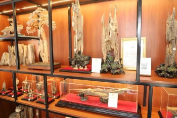 Khai mạc “Tuần lễ sản phẩm Hà Tĩnh tại Thủ đô”