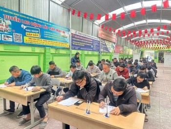 Hà Tĩnh: Phấn đấu tạo việc làm cho 17.000 lao động, tạo đà phát triển kinh tế tỉnh