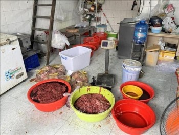 Triệt phá đường dây làm giả hơn 15 tấn thịt bò từ thịt heo nái