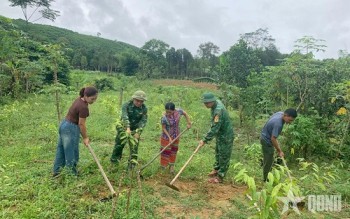 Đồng hành cùng người dân Rào Tre