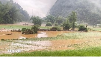 Thời tiết ngày 20/5: Mưa lớn dồn dập tại nhiều tỉnh phía Bắc