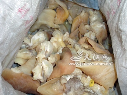 Hãi hùng tai lợn làm từ nhựa