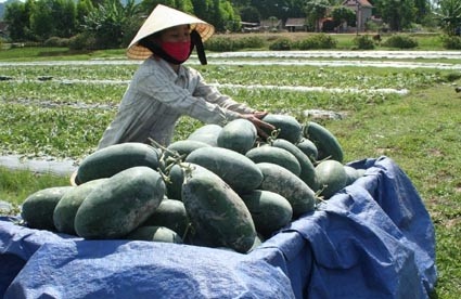 Hà Tĩnh: Triển khai 51 đề tài, dự án nghiên cứu khoa học và phát triển công nghệ