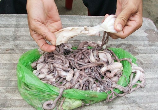 Sốc với phát hiện "bạch tuộc tươi" làm từ "cao su" tại Bình Dương