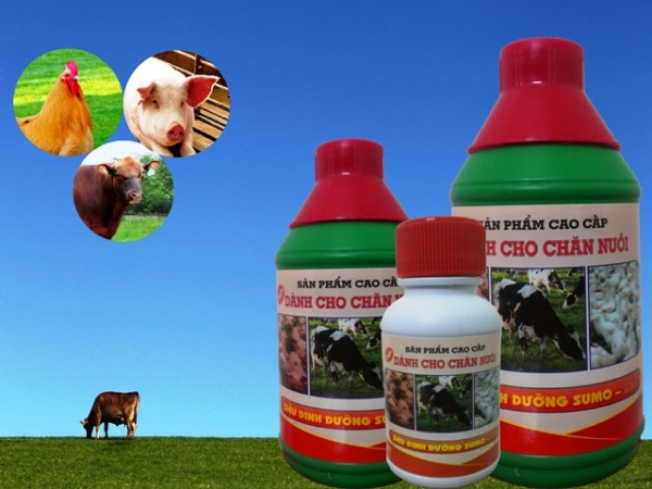 BƯỚC ĐỘT PHÁ LỚN CỦA NỀN NÔNG NGHIỆP THẾ KỶ XXI