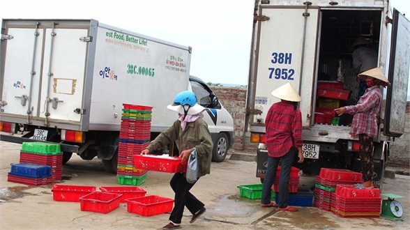 Hà Tĩnh: Tạo bước phát triển mới cho những “ngân hàng” của nhân dân