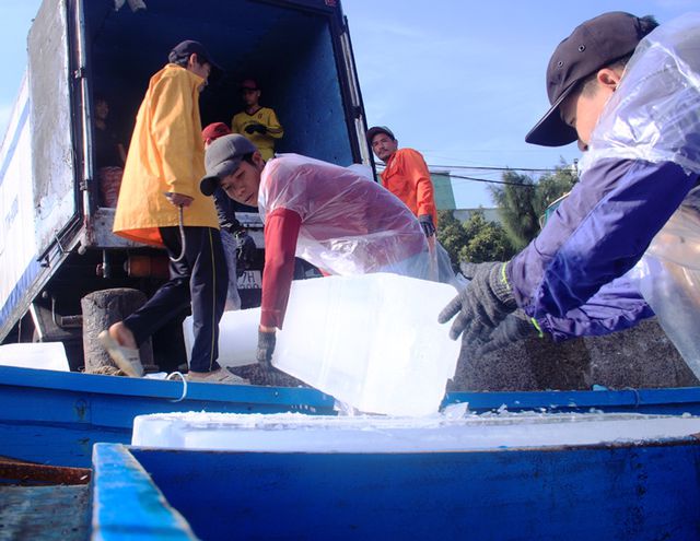 Các ngư dân đang tiếp đá lạnh lên tàu để chuẩn bị cho chuyến biển xuyên Tết Nguyên đán.