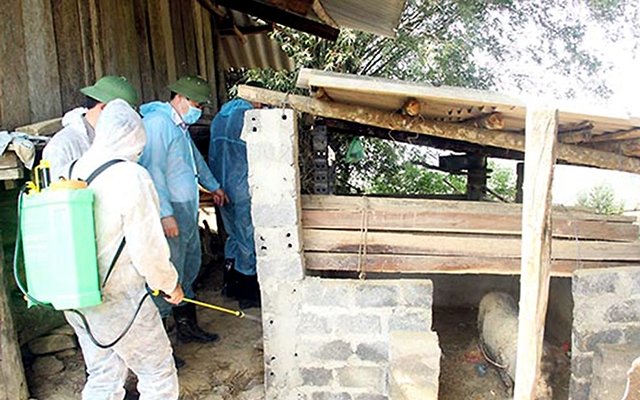  Cán bộ thú y huyện Thuận Châu, Sơn La phun thuốc tiêu độc, khử trùng khu chăn nuôi của các hộ dân. Ảnh: NGUYỄN NGA