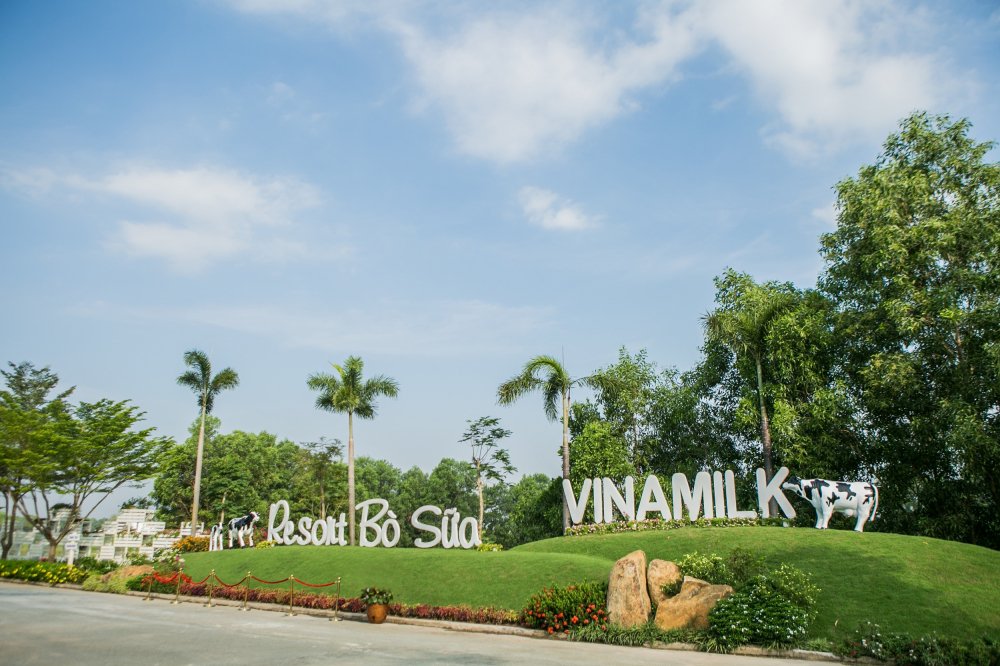 'Resort' bo sua Vinamilk Tay Ninh: Ngoi nha ly tuong cua nhung co bo hanh phuc hinh anh 1
