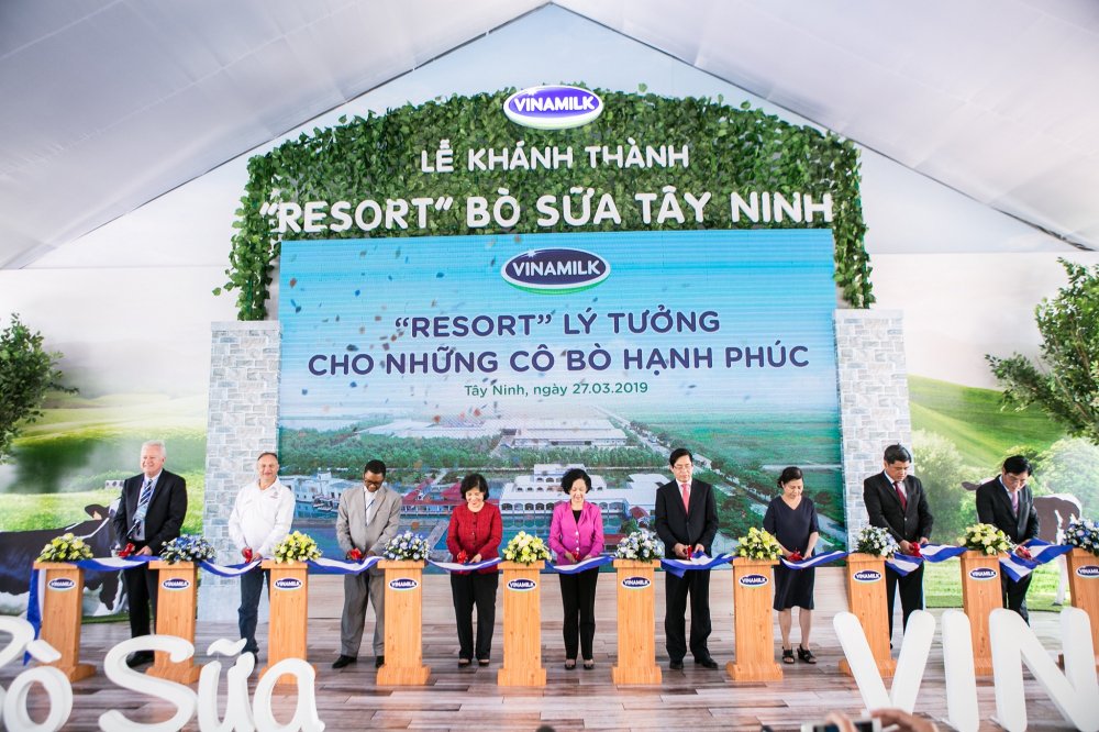 'Resort' bo sua Vinamilk Tay Ninh: Ngoi nha ly tuong cua nhung co bo hanh phuc hinh anh 3