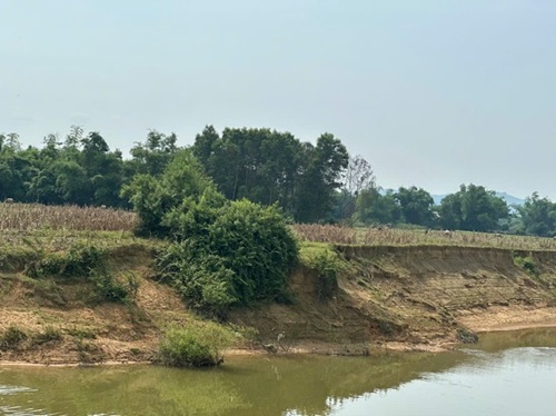 d2025050902 2