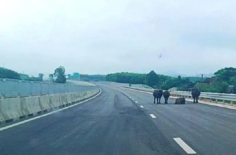 d2025050908 2