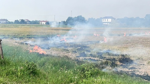 d2025052705 1
