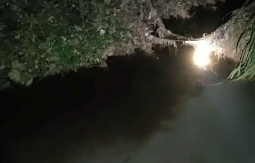 d2025053102 2
