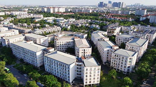 d2025060305 1