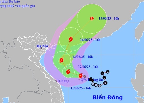 d2025061202 2