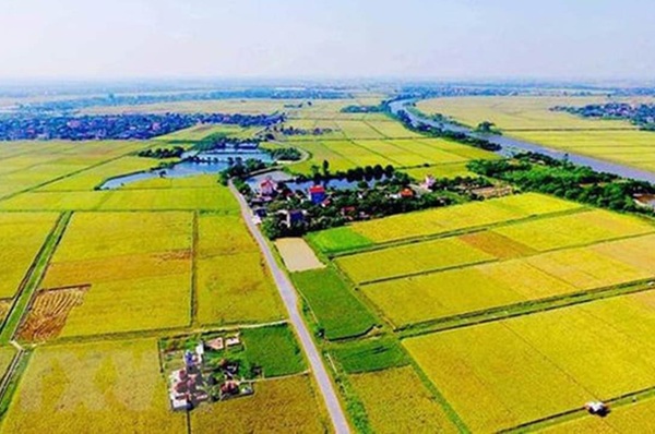 d2025071302 1