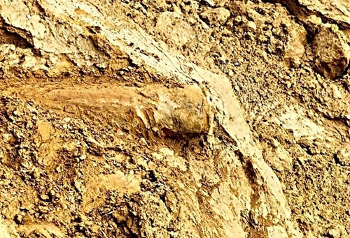 d2025101402 1