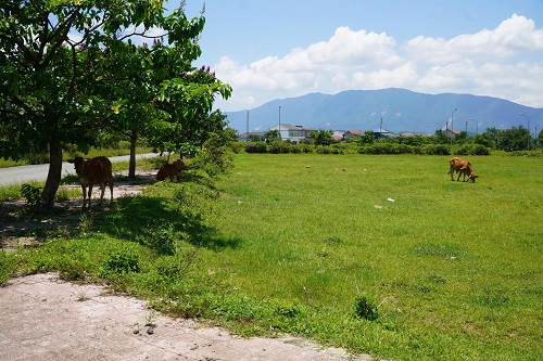 H202506181901 2
