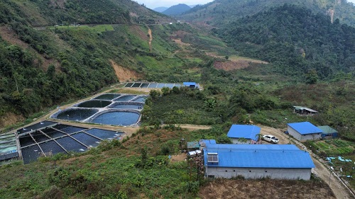 H2025081106 4