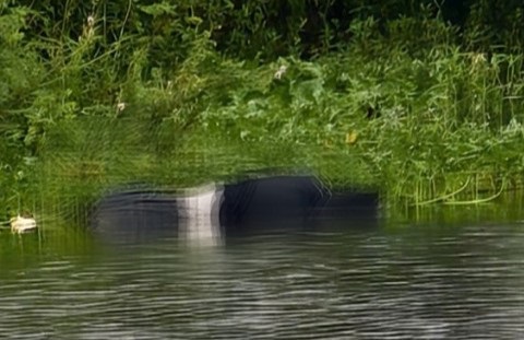 H2025090411
