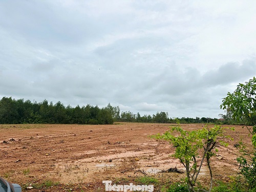 H2025092003 4