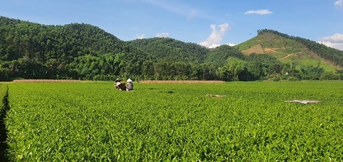 H2025092303 4